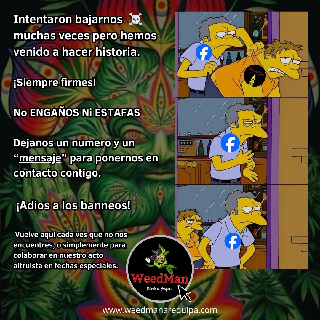 Popup inicial